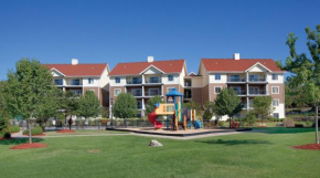 Beautiful Hotel in Mountain Vista - 1BD Sleeps up to 4